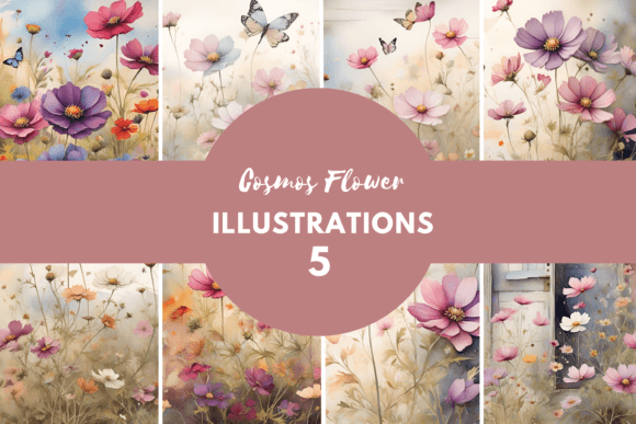 Watercolor Cosmos Flowers Illustration