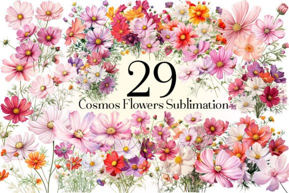 Cosmos